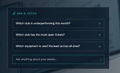 Ask D-Fetch prompt box with suggested questions about club performance, open tickets and the least-used equipment