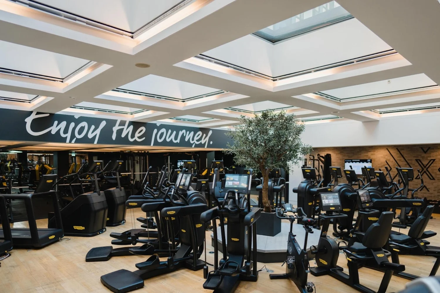 Bright gym interior with a skylight grid ceiling and rows of connected cardio equipment